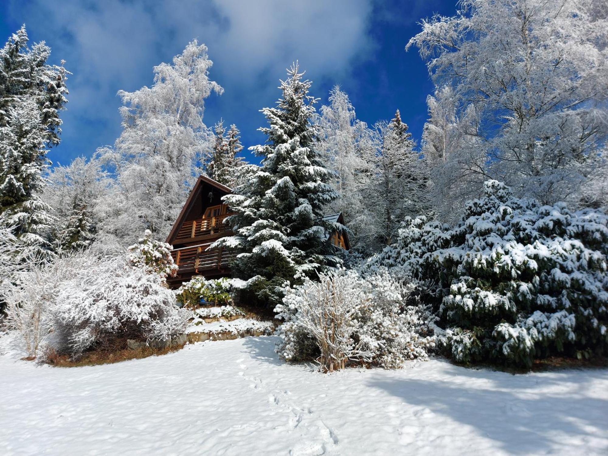 Chalet Bellevue Rogla Zreče Exterior foto